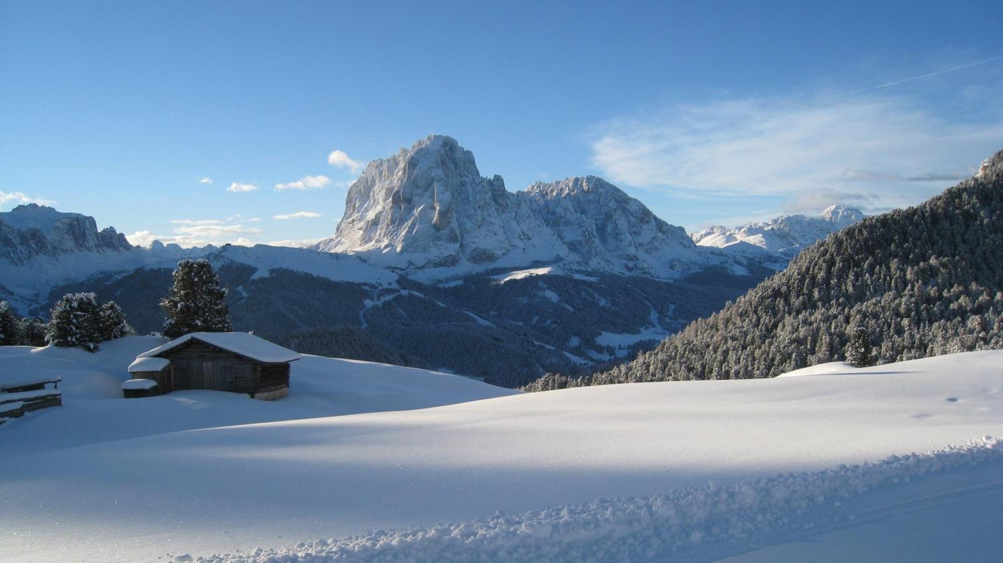 Apartments Dolomie Ortisei Extérieur photo