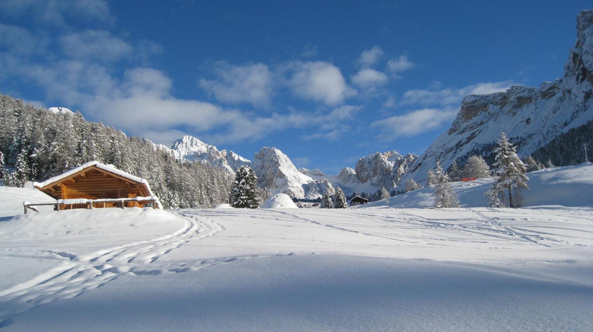 Apartments Dolomie Ortisei Extérieur photo